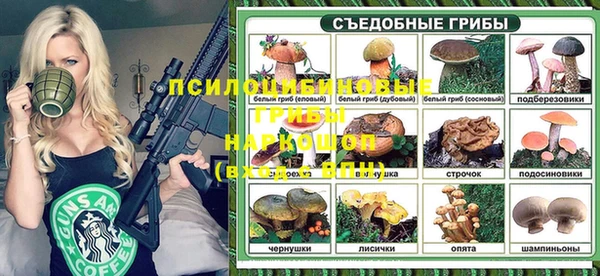 крисы Краснослободск