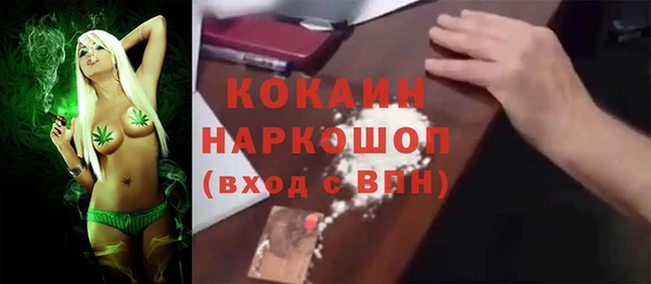 крисы Краснослободск