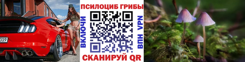 Галлюциногенные грибы Psilocybe  купить наркотики цена  Магас 